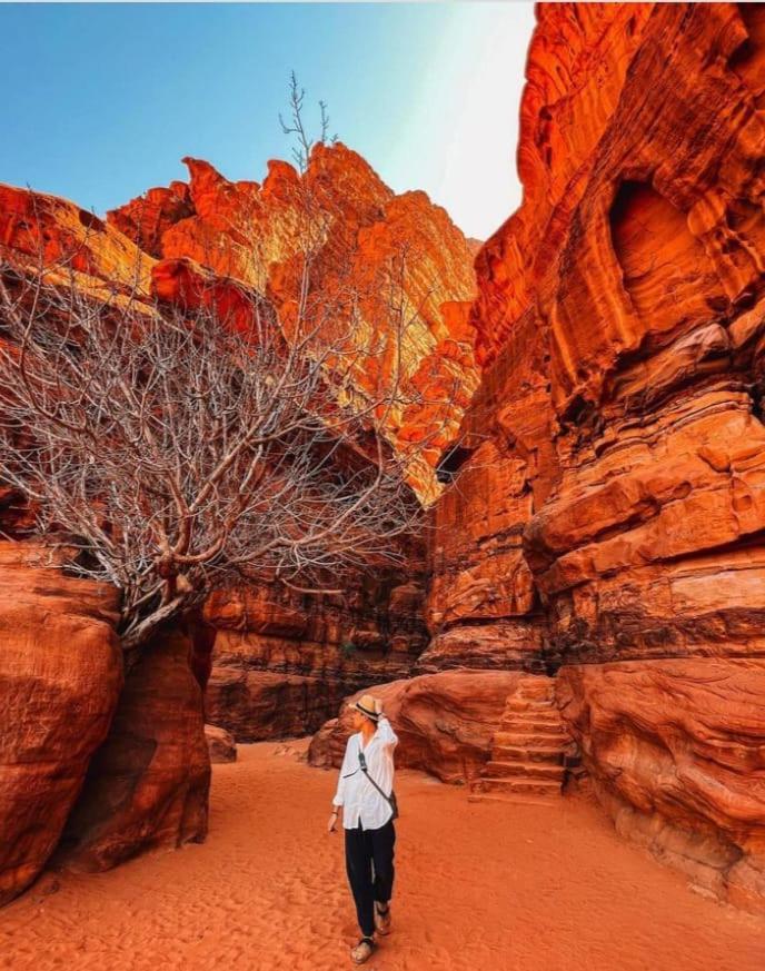 Apartamento Saleem With Jeep Tour Wadi Rum Exterior foto